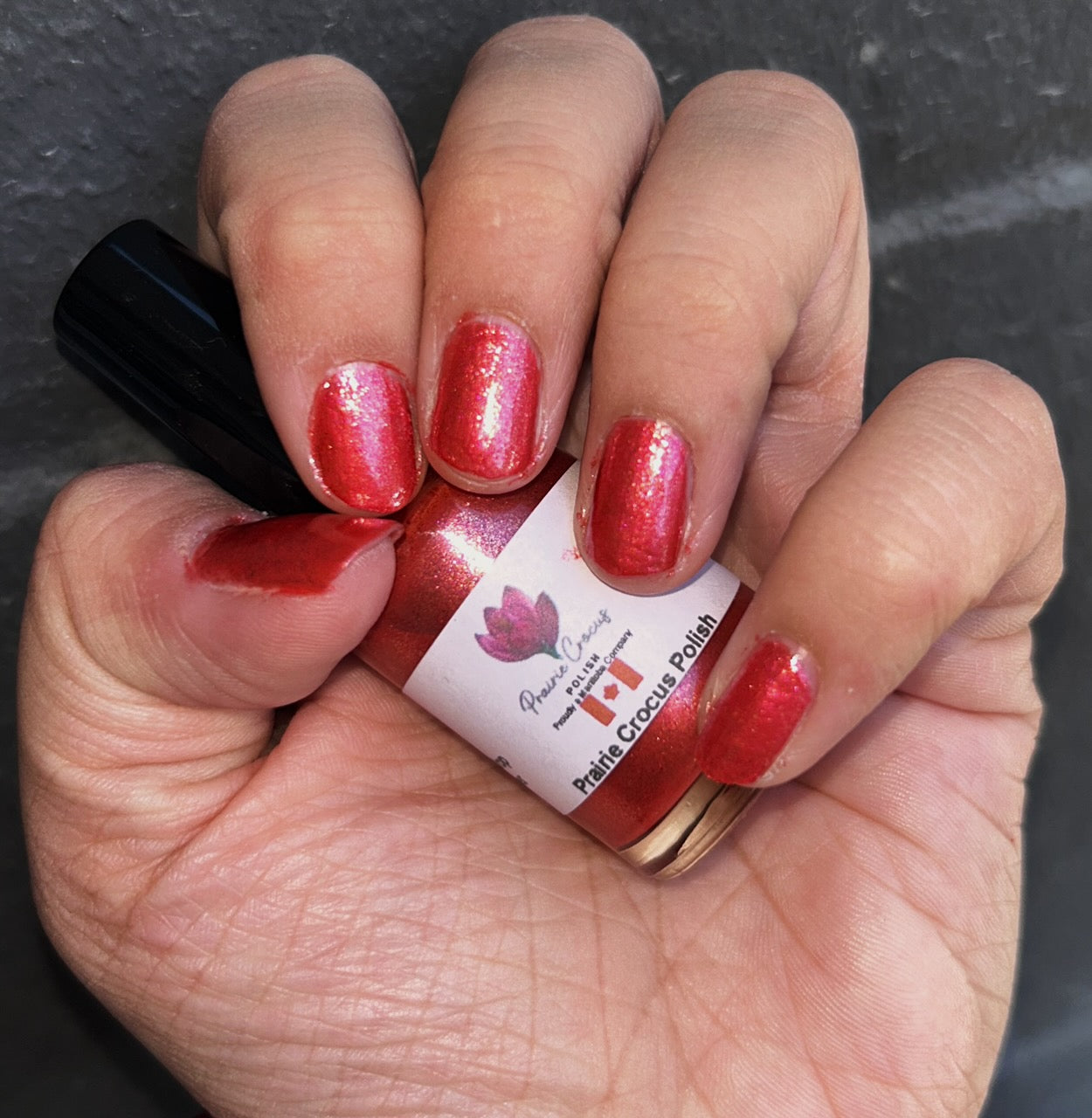 Lacquer Drop - Northern Fall Bundle