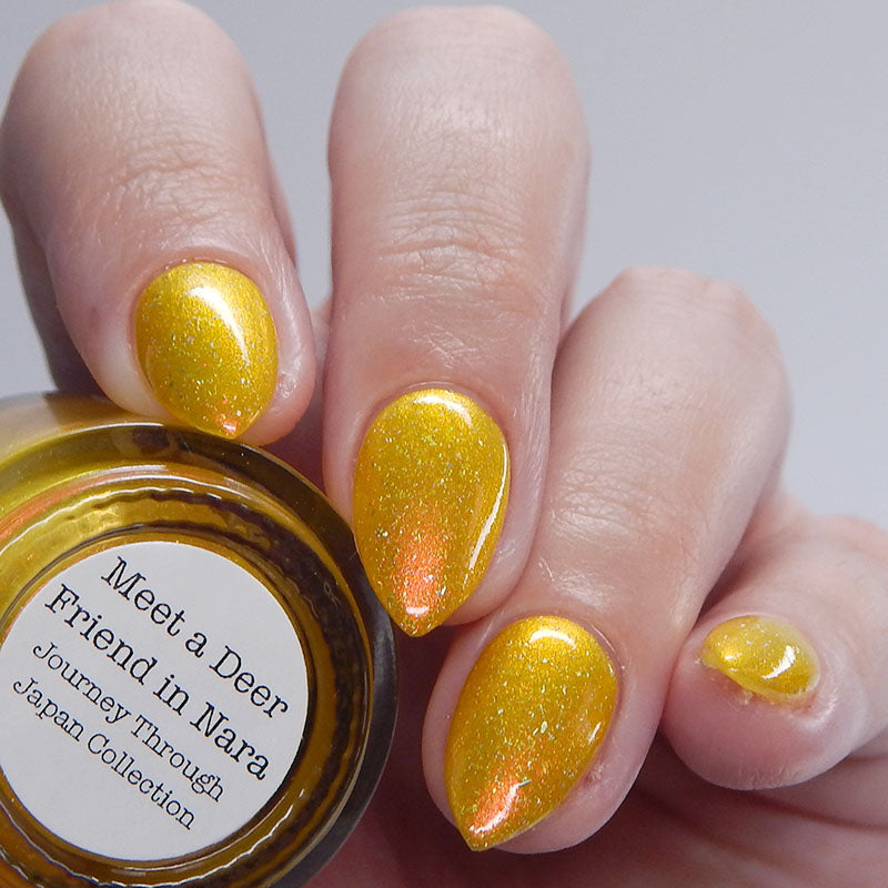 Meet a Deer Friend in Nara