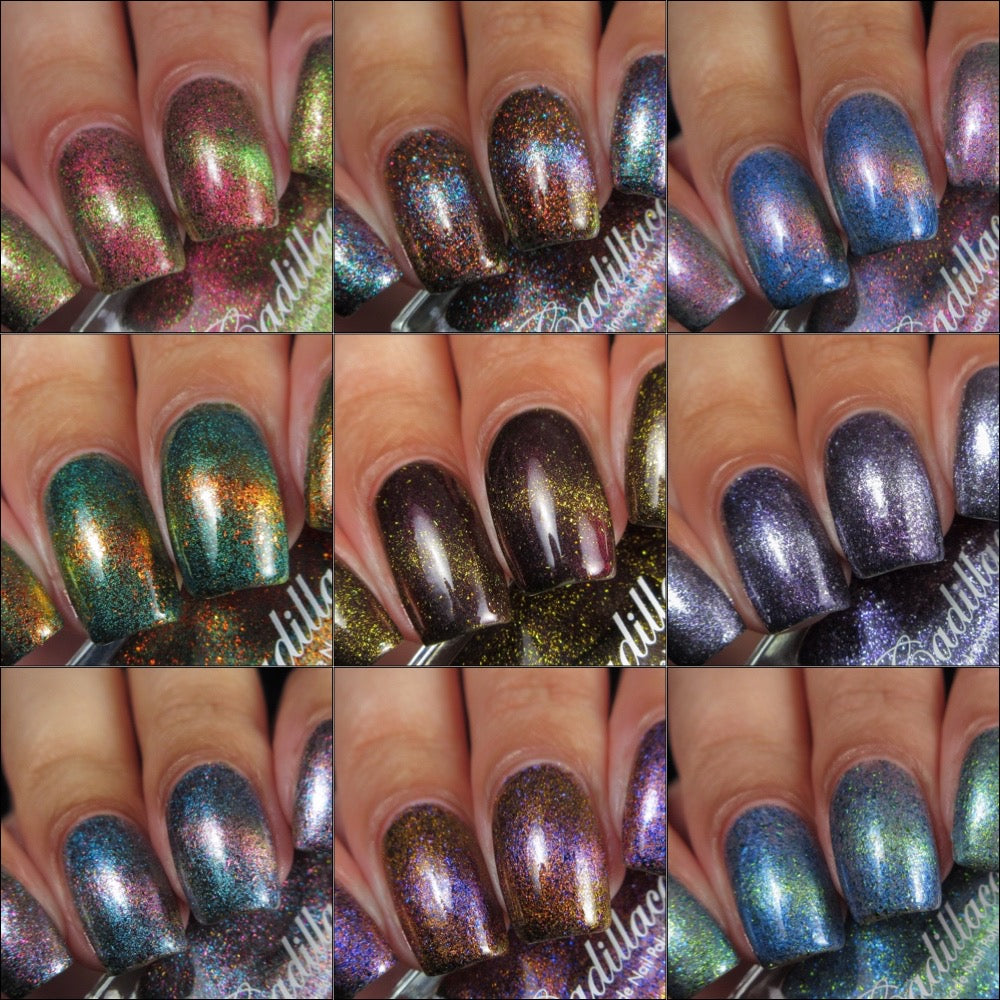 Winter Collection 2024 Full Collection (9 Pieces)