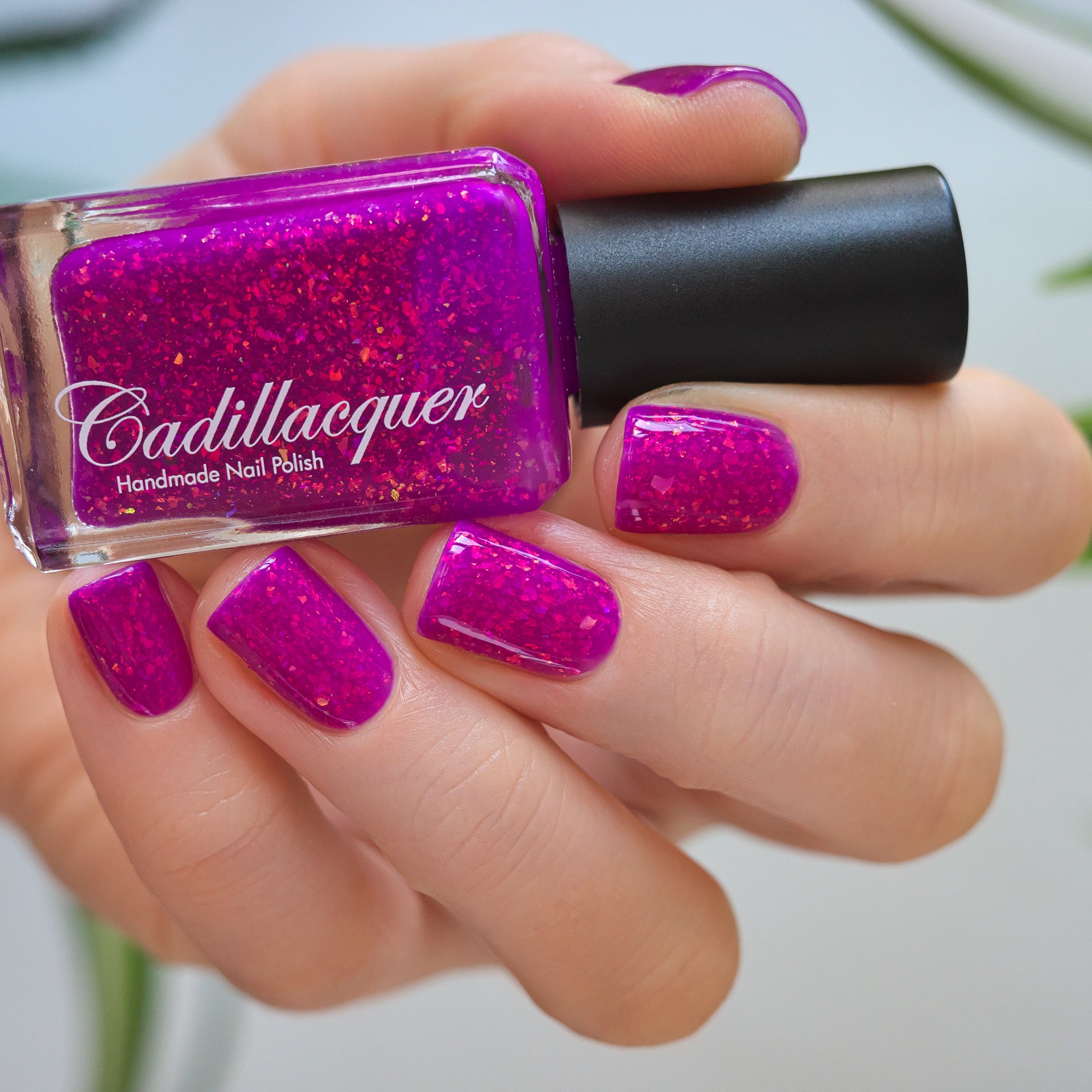 Cadillacquer - Summer Collection 2024 - Barefoot By The Bay