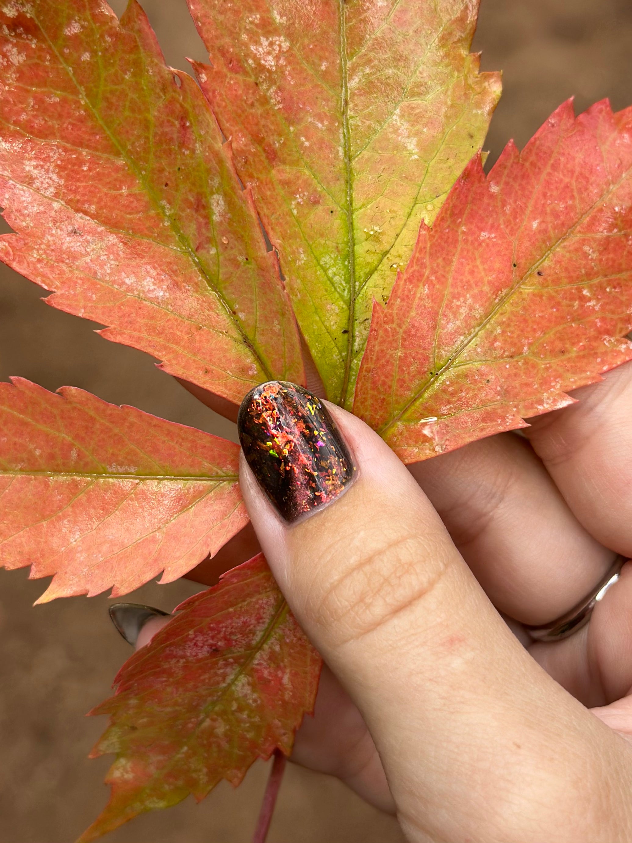 The Crunchiest Fall Leaf