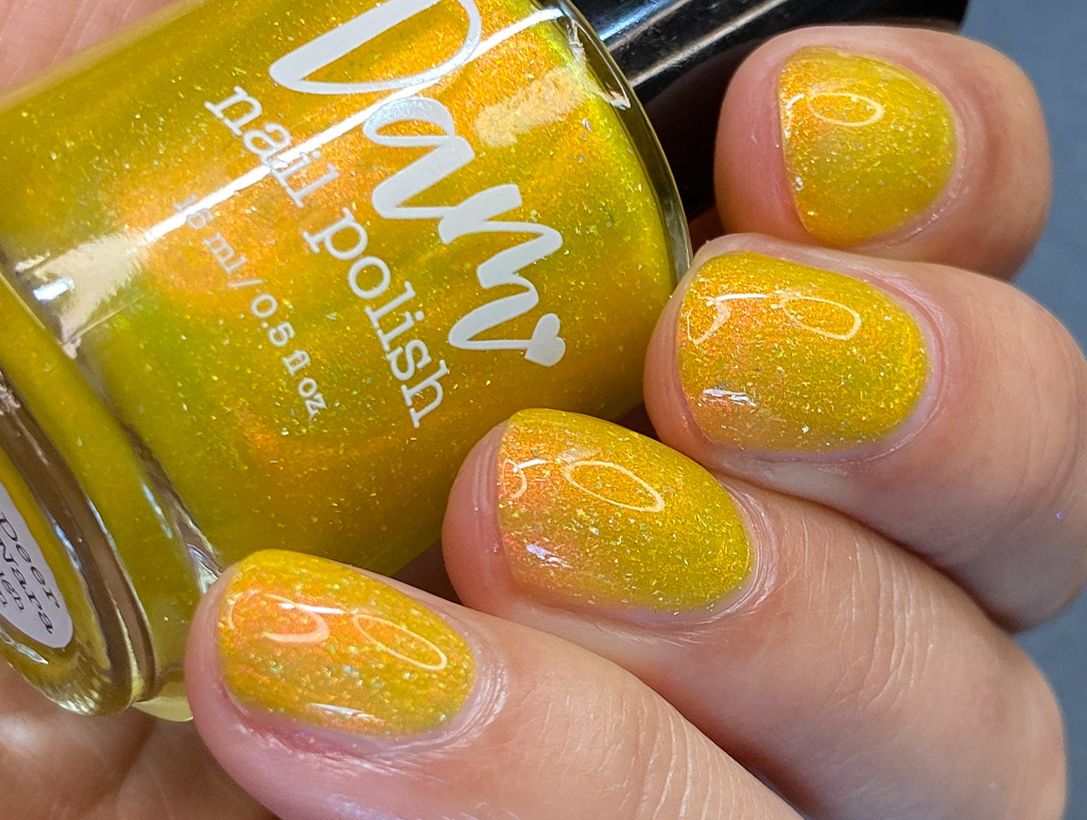 Meet a Deer Friend in Nara