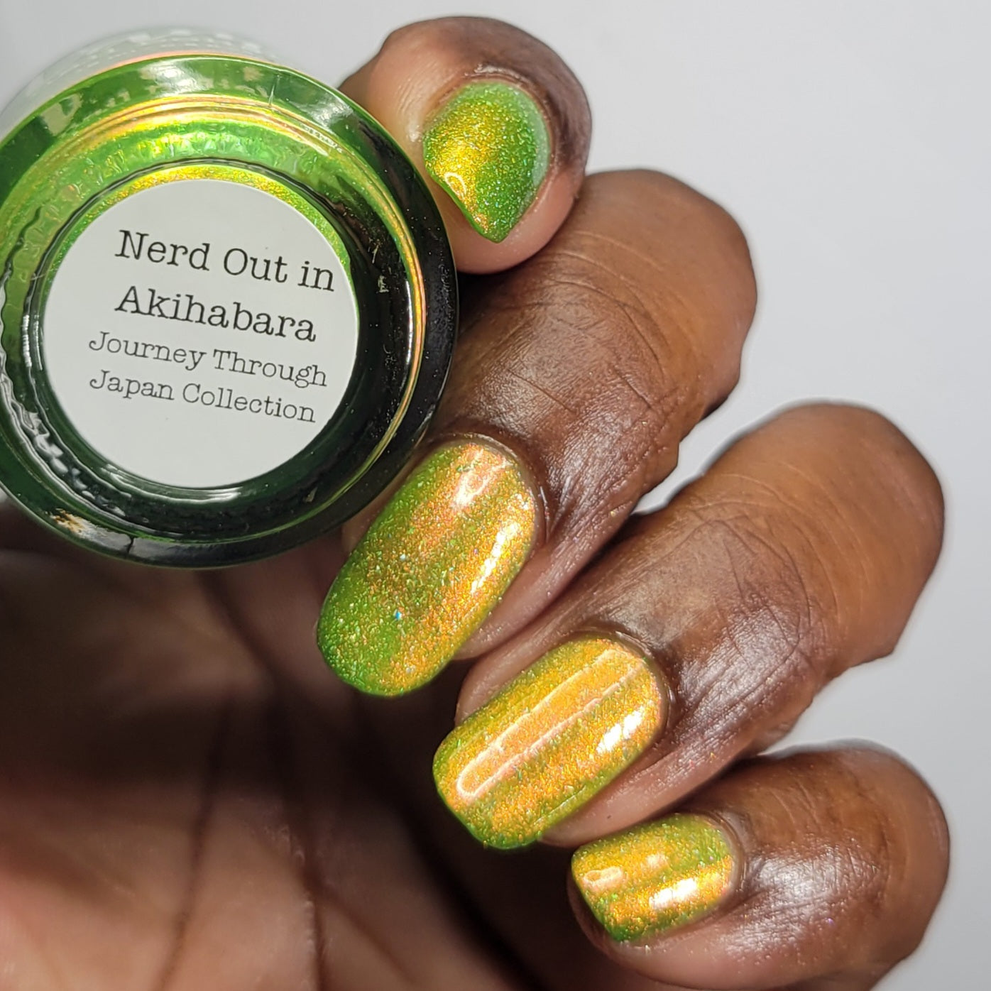 Nerd Out In Akihabara