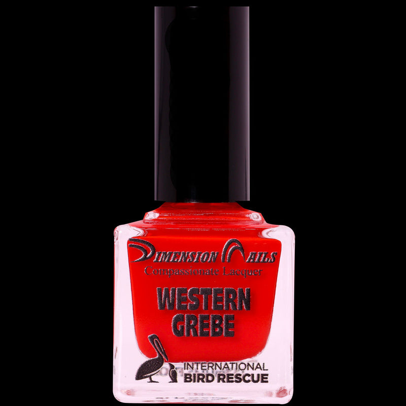 Dimension Nails - International Bird Rescue - Western Grebe