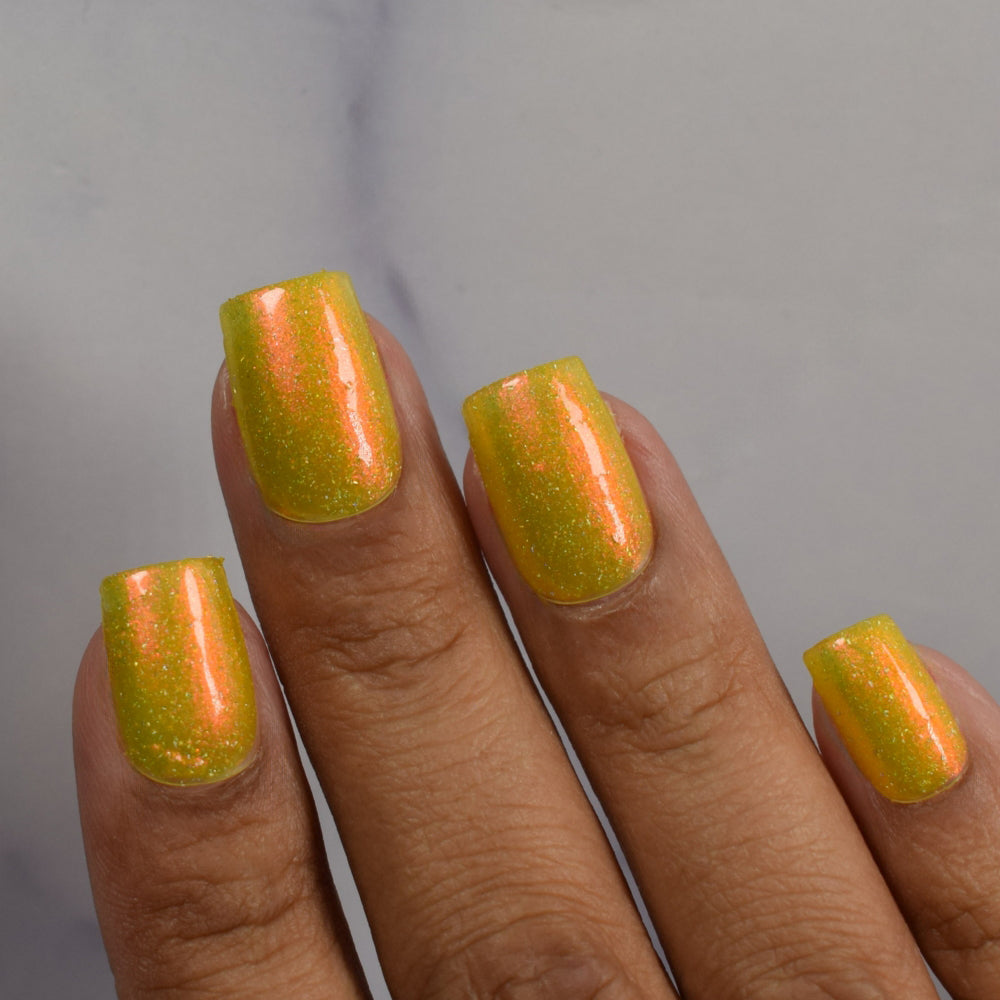 Meet a Deer Friend in Nara