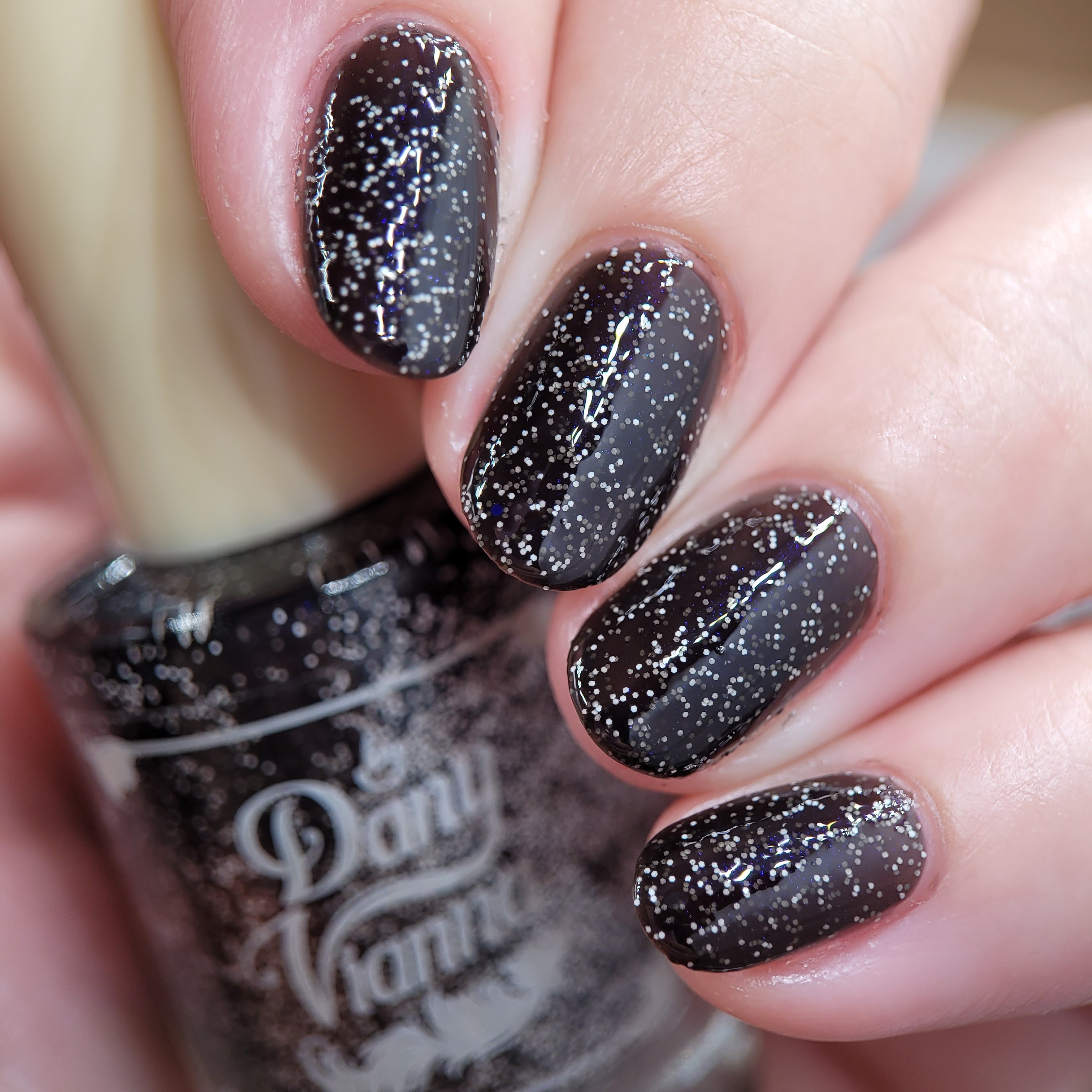 Starry Night Metalmark