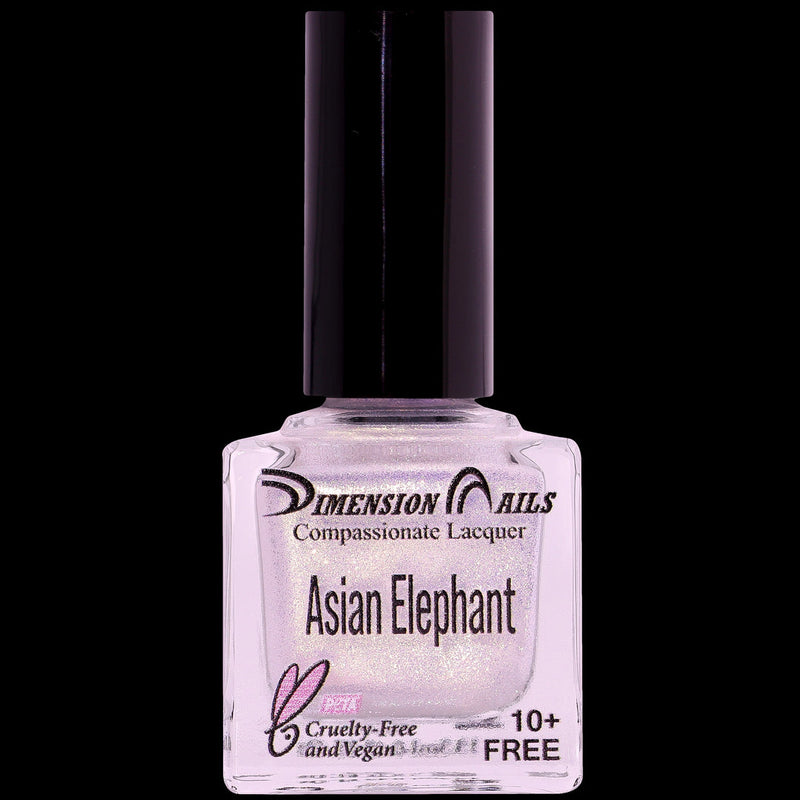 Dimension Nails - Terai-Duar Savanna - Asian Elephant