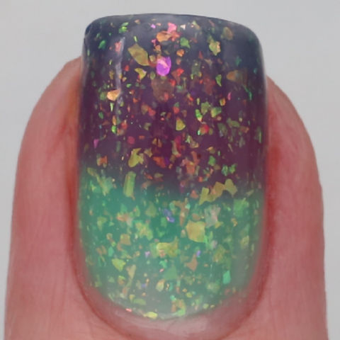 Persian Shield (Thermal)