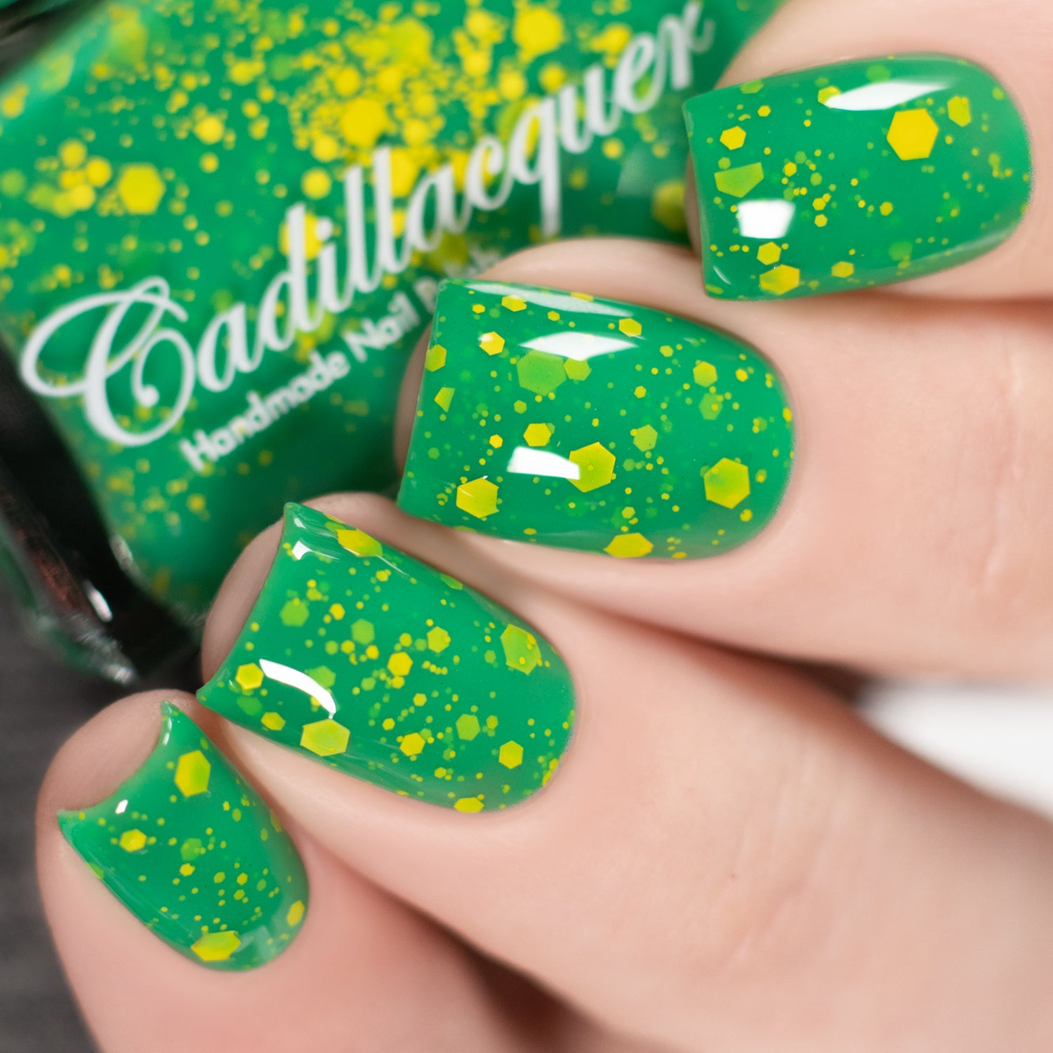 Daffodils