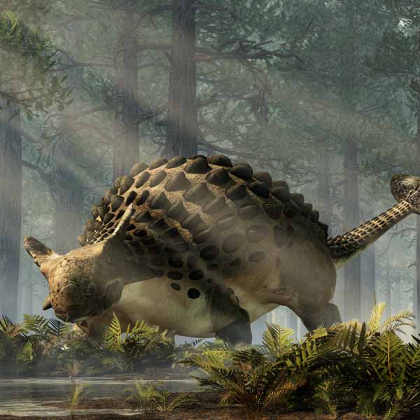 Ankylosaurus