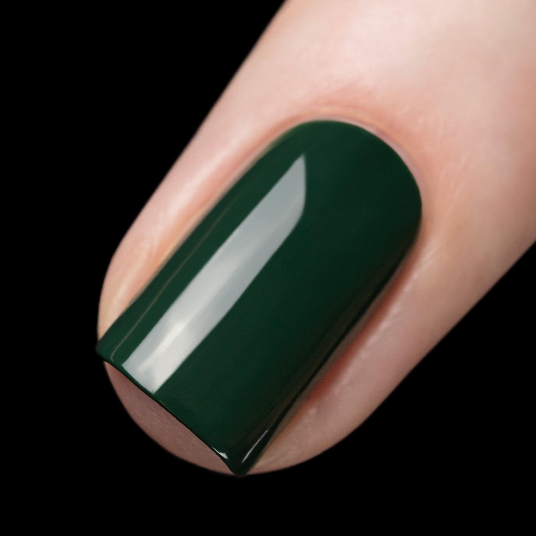 Forest of the Night Nail Polish