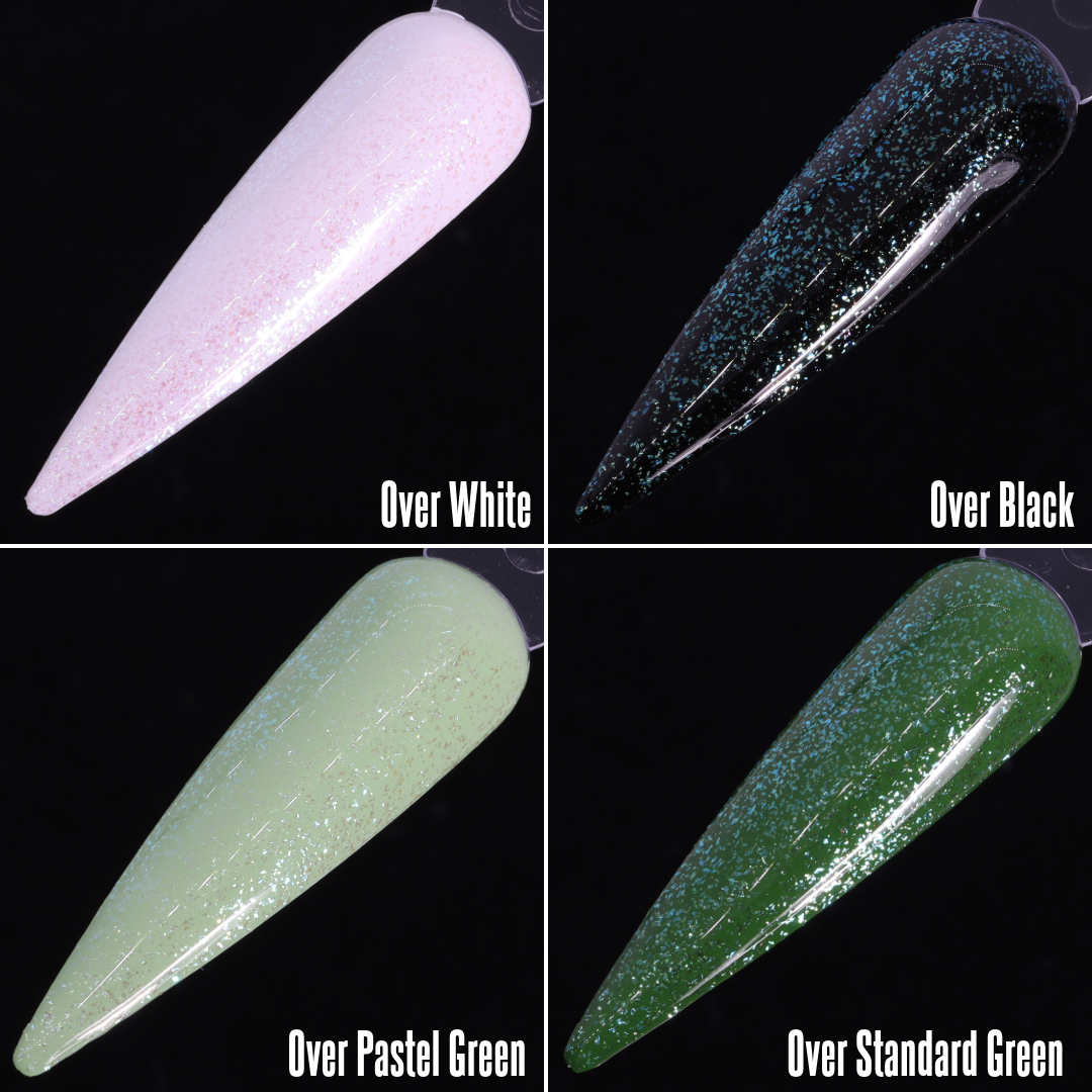 Asterina Sea Star (Topper)