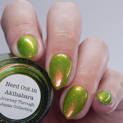 Nerd Out In Akihabara