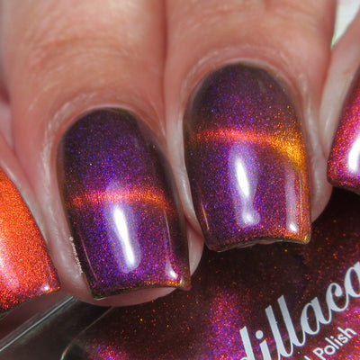 Solar Nebula (Magnetic)
