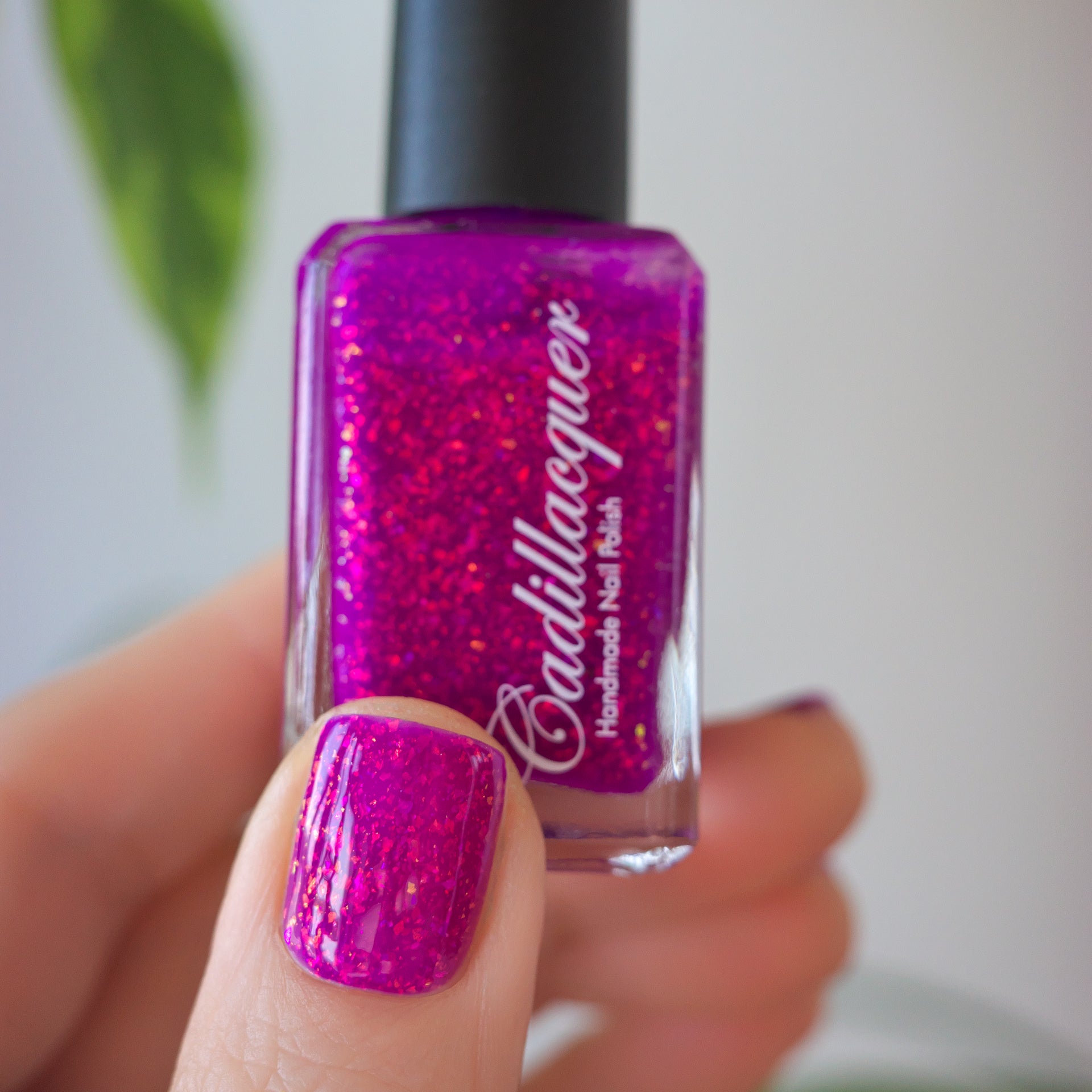 Cadillacquer - Summer Collection 2024 - Barefoot By The Bay