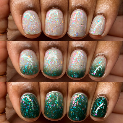 Winter 2025 Full Collection (6 Bottles)