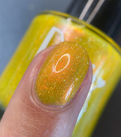 Meet a Deer Friend in Nara