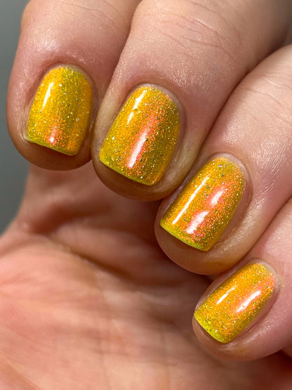 Meet a Deer Friend in Nara