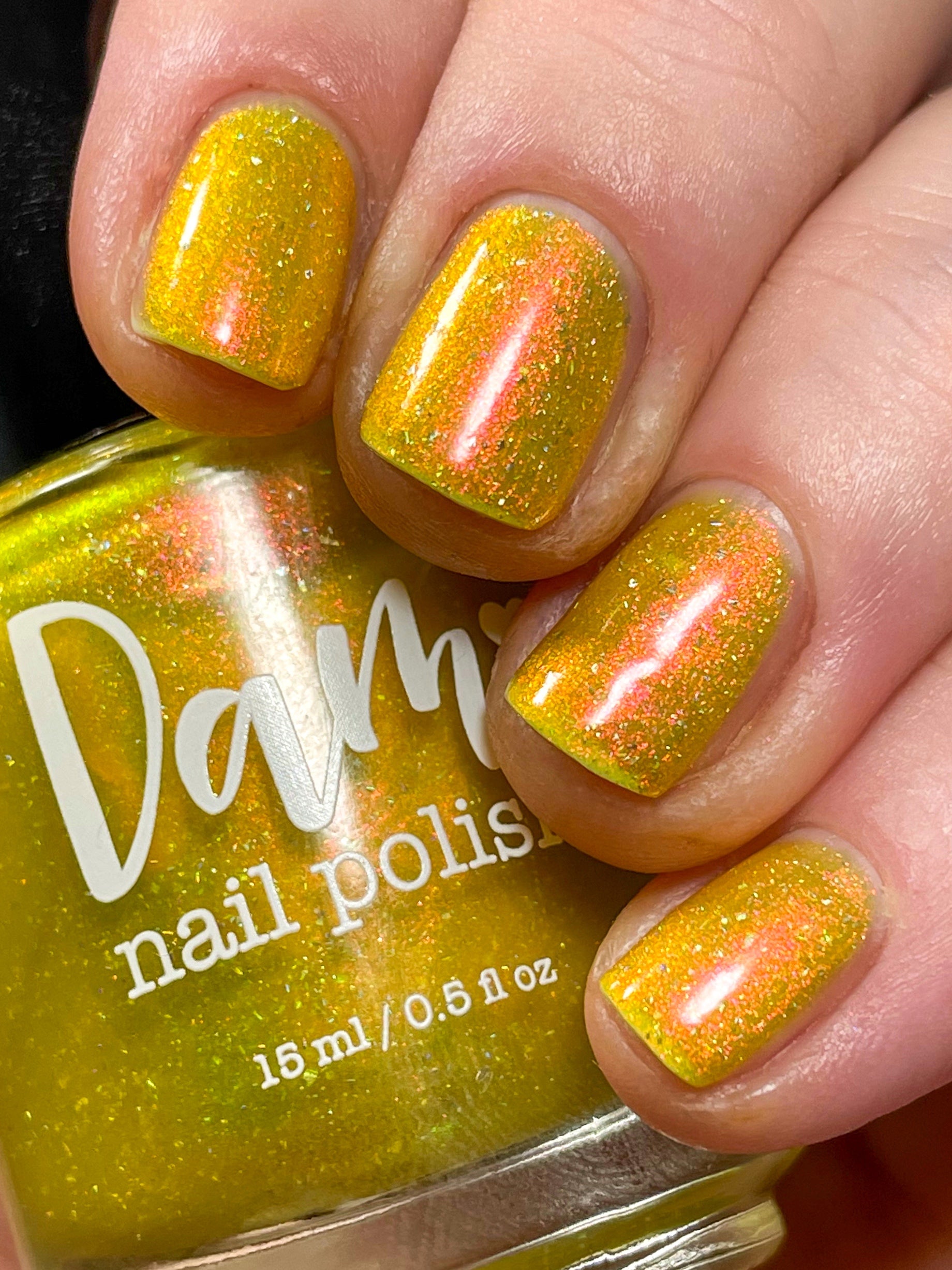 Meet a Deer Friend in Nara