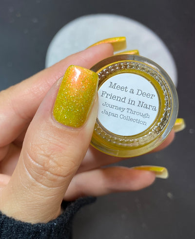 Meet a Deer Friend in Nara