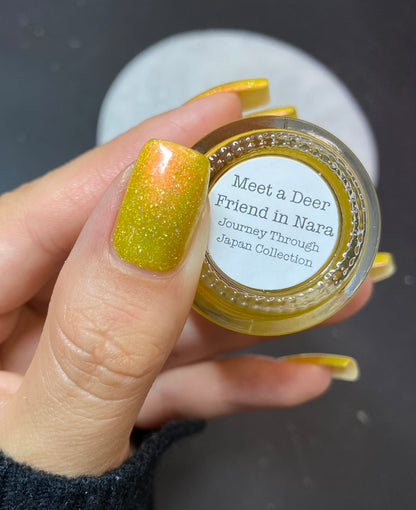 Meet a Deer Friend in Nara