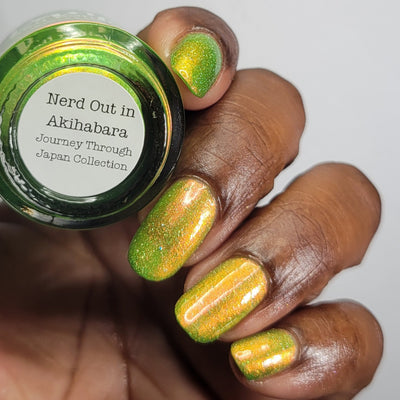 Nerd Out In Akihabara