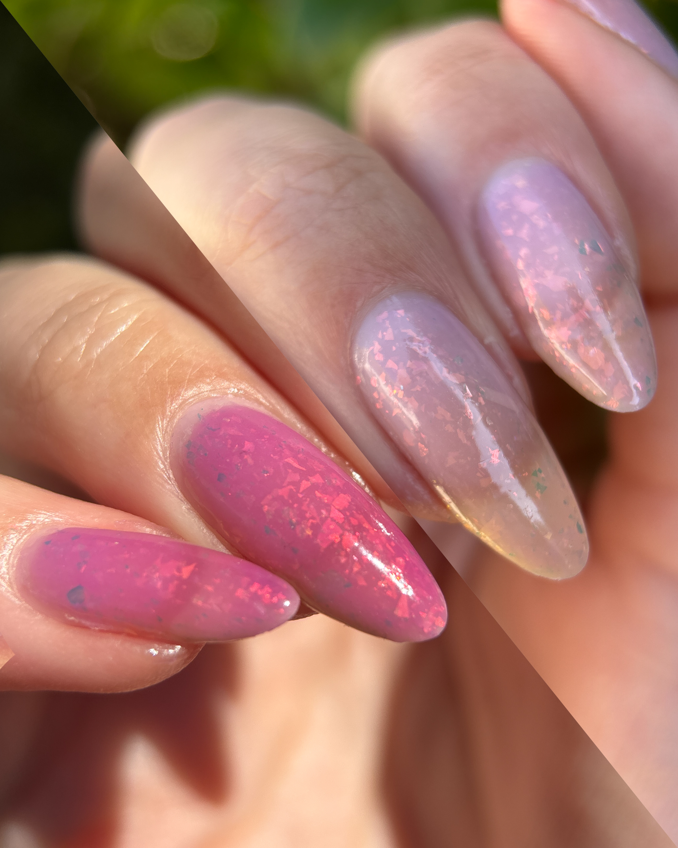 Carnations in Bloom (UV Reactive and Glow in the Dark)