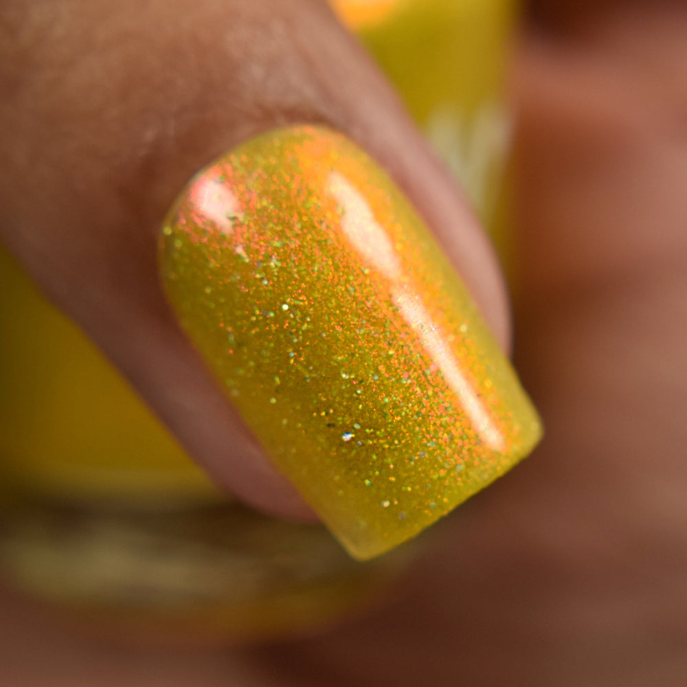 Meet a Deer Friend in Nara