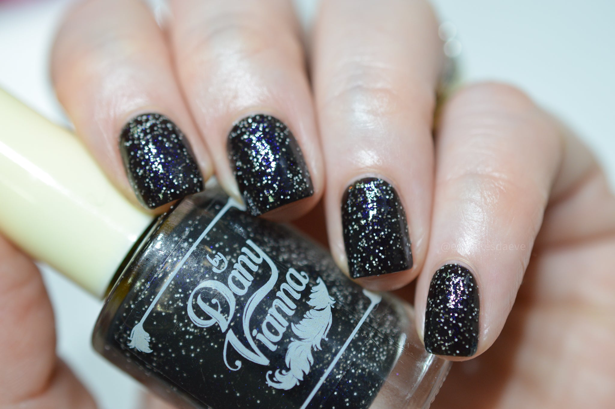 Starry Night Metalmark