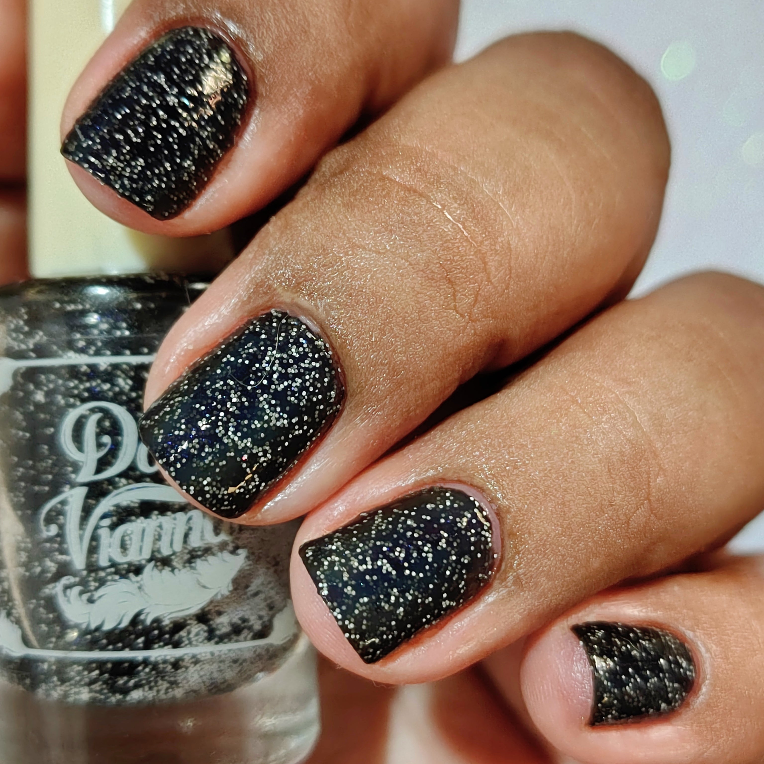Starry Night Metalmark