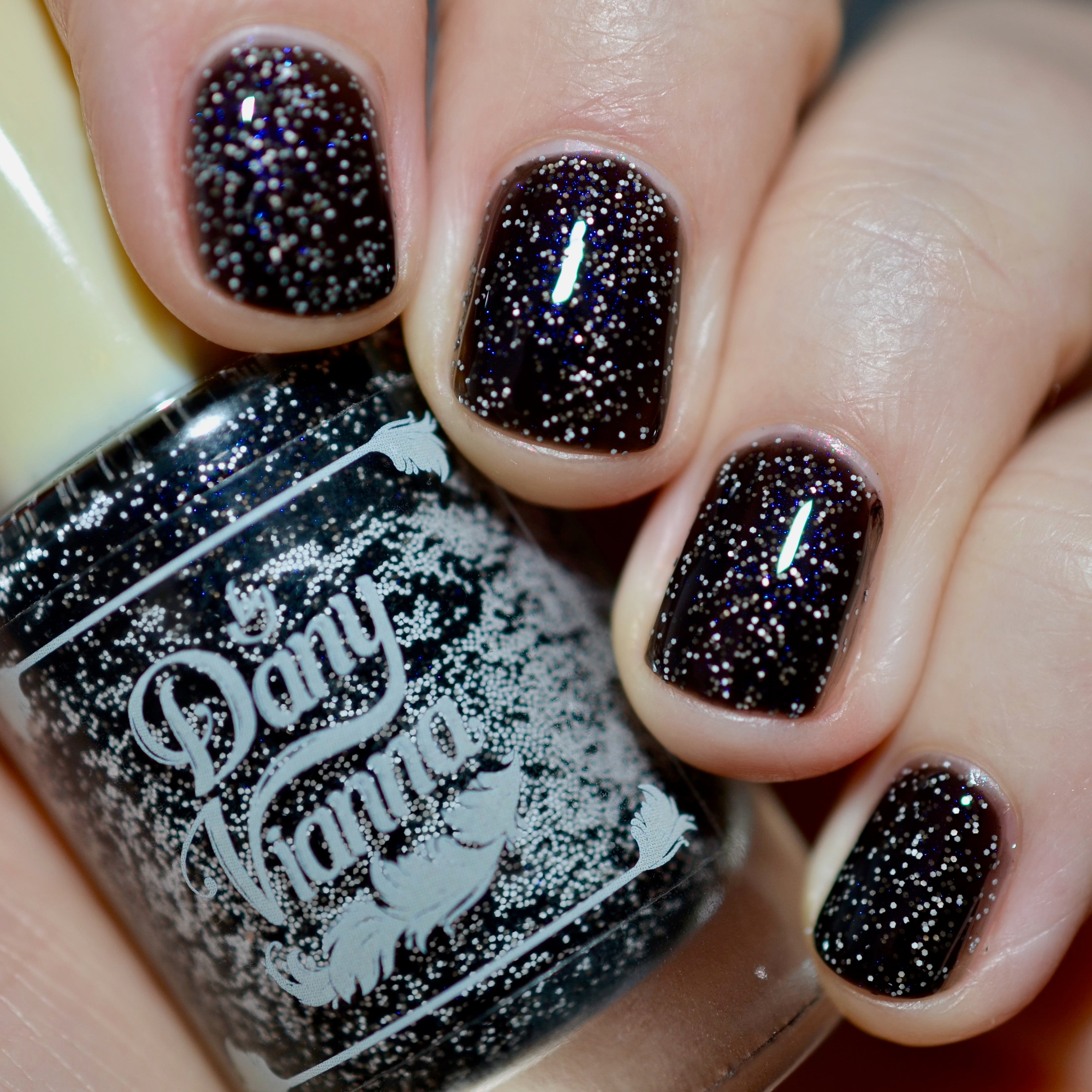 Starry Night Metalmark