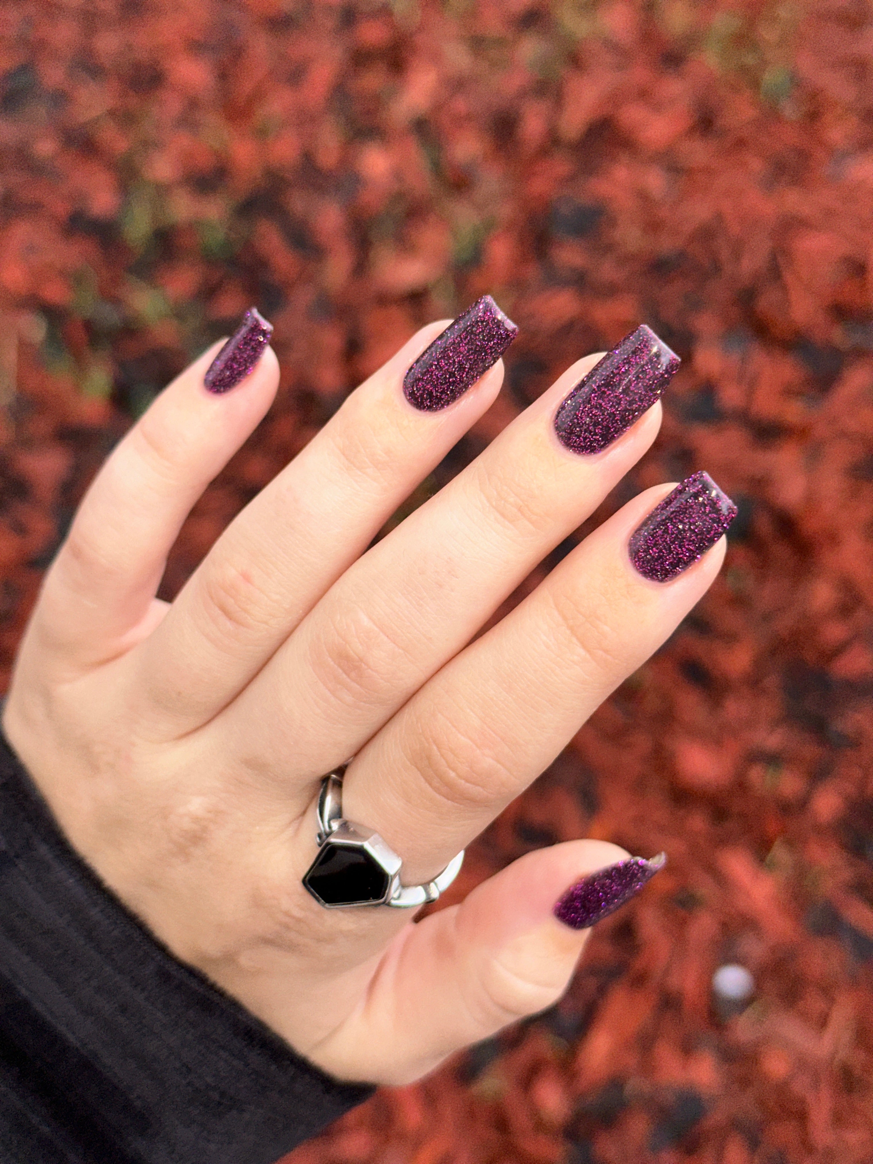 Black Dahlia