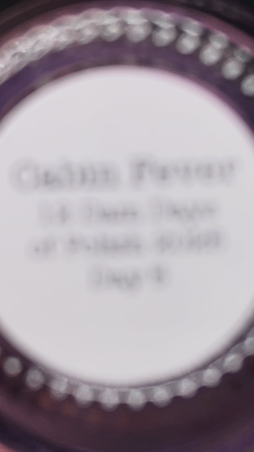 Cabin Fever