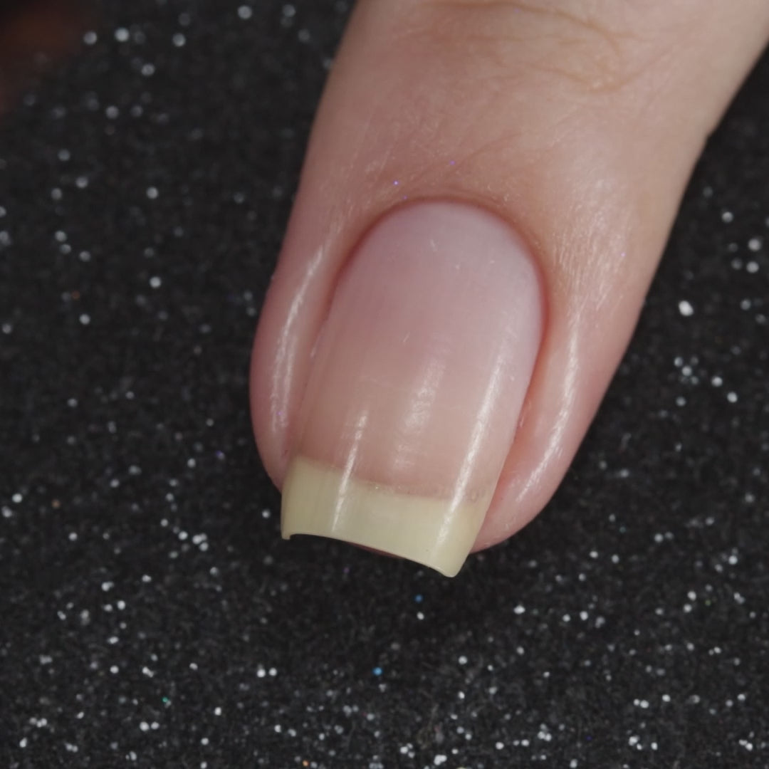 Solar Nebula (Magnetic)