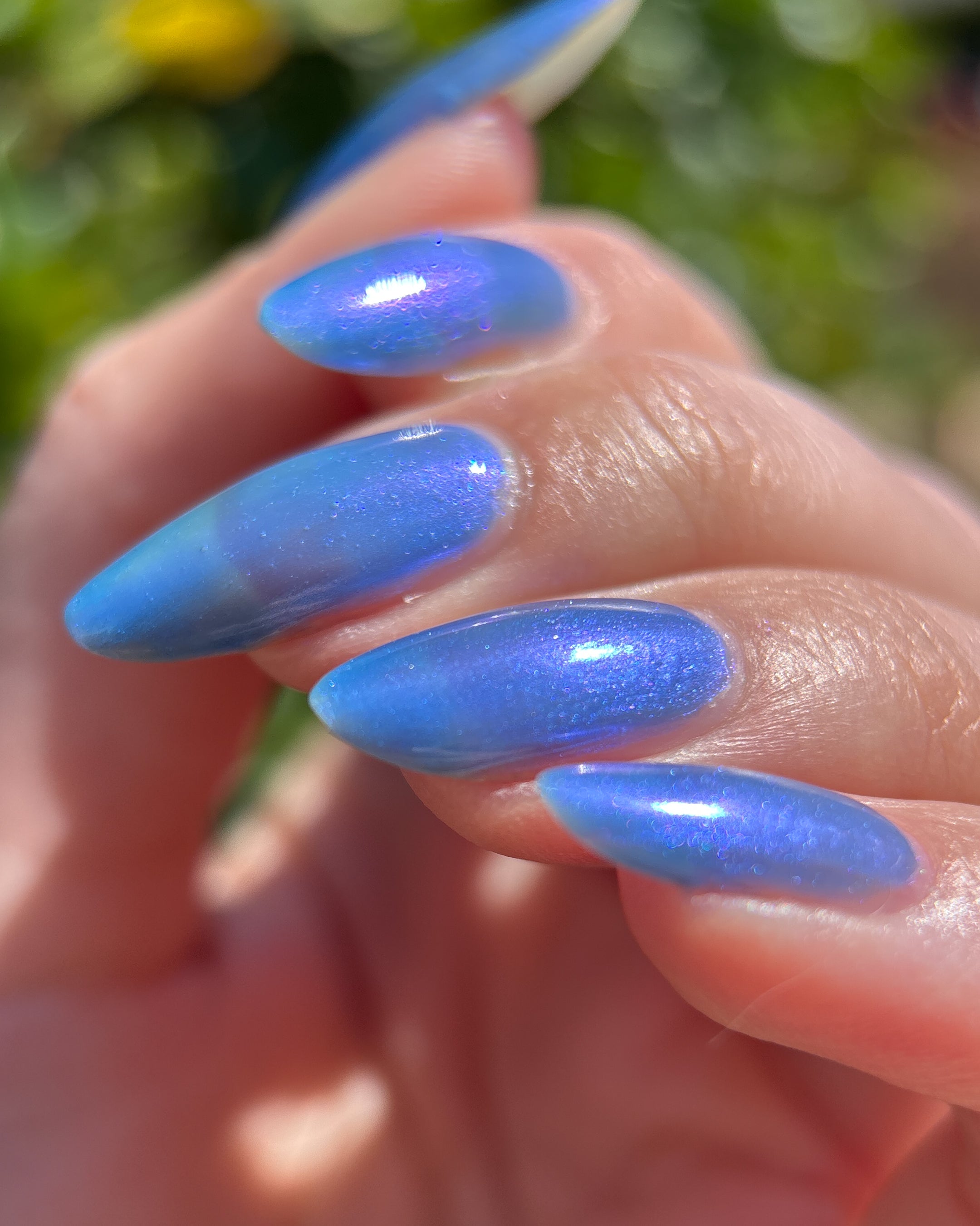 The Smell of Rain (Topper)