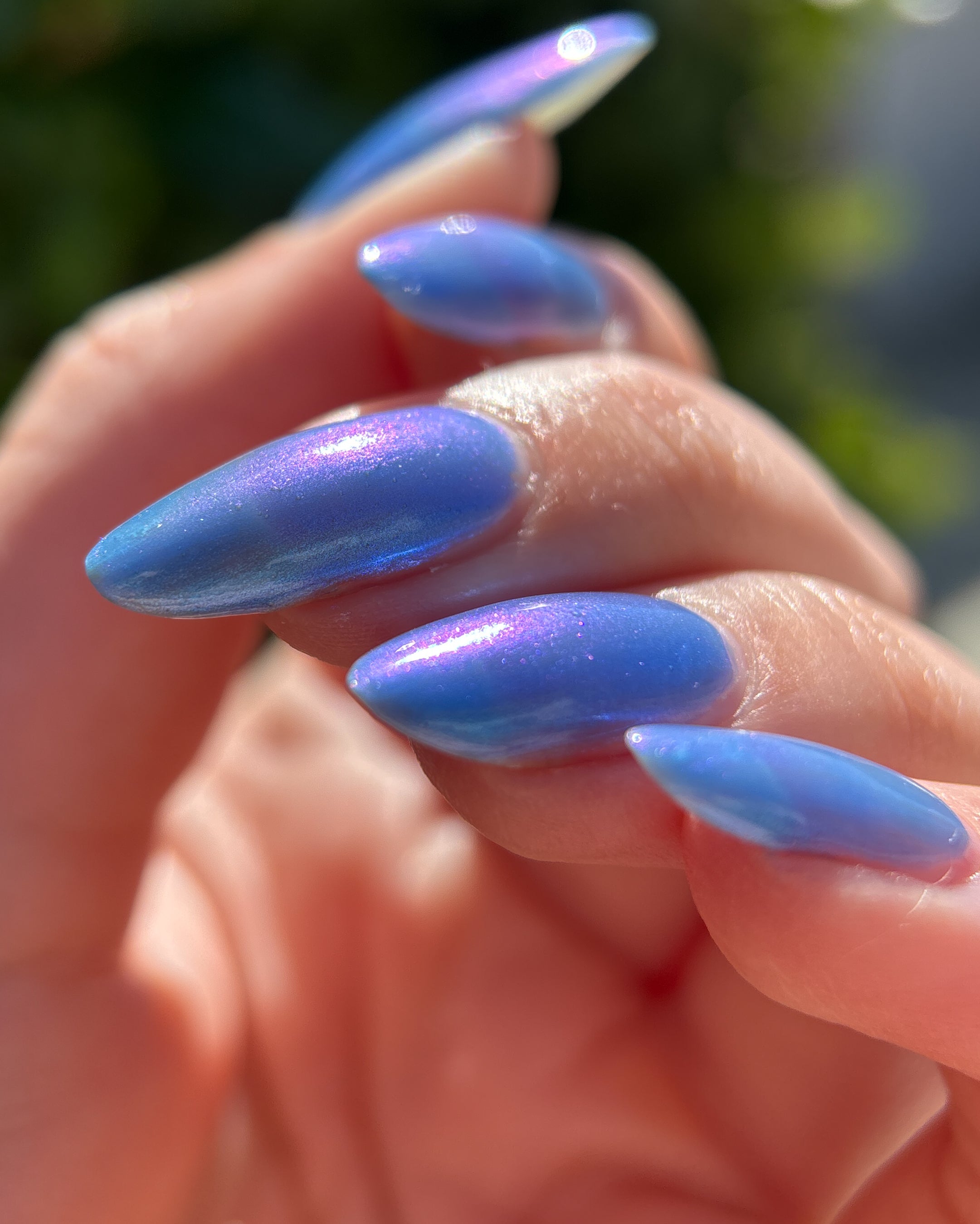 The Smell of Rain (Topper)