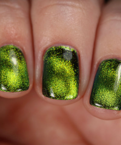 Absinthe