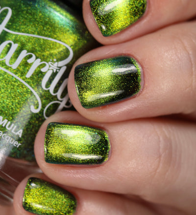 Absinthe