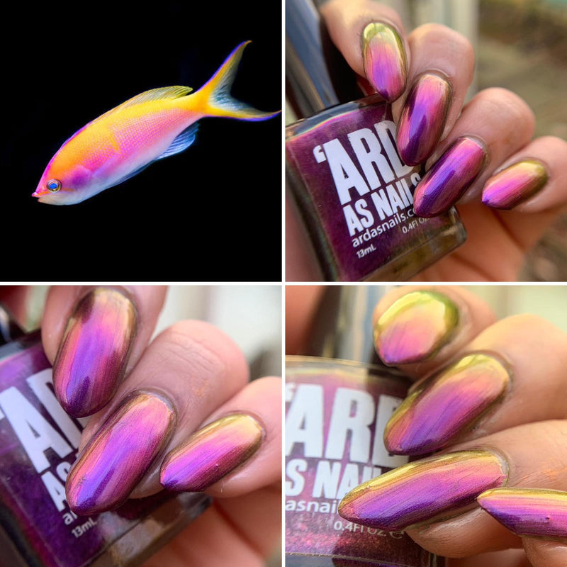Ard As Nails - Flashy Nature - Anthius