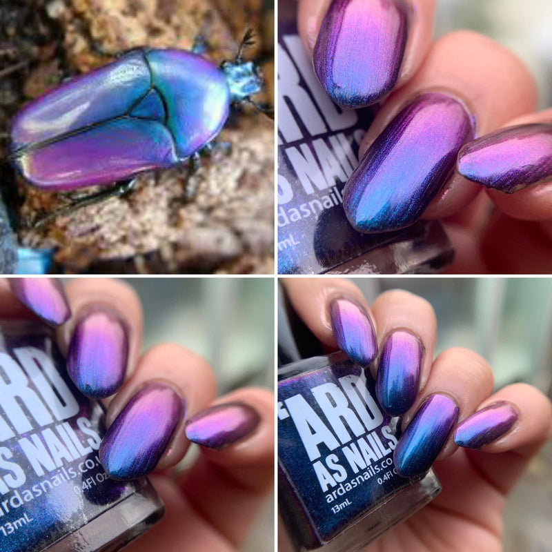 Ard As Nails - Flashy Nature - Jewel Beetle