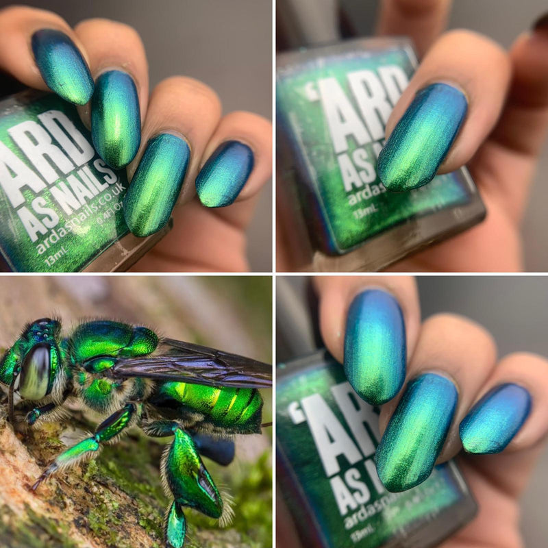 Ard As Nails - Flashy Nature - Orchid Bee