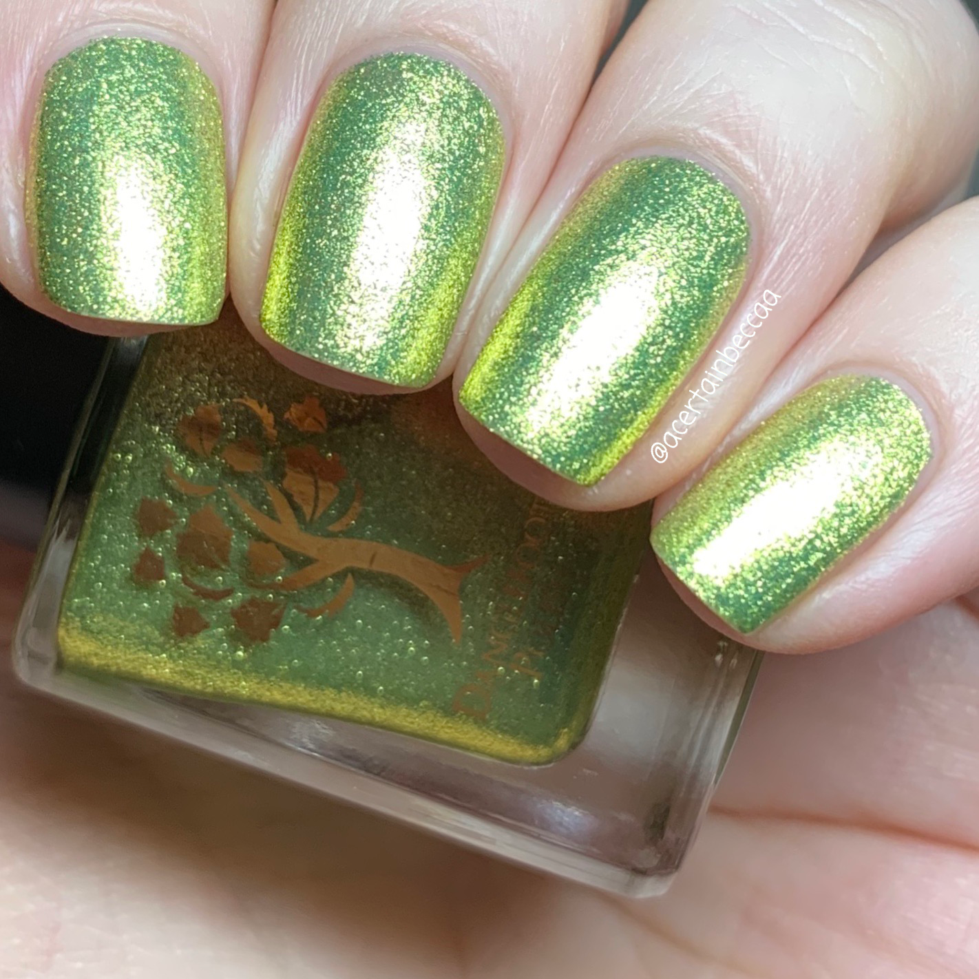 Danglefoot Nail Polish - Fancy Feathers Collection - Tweet Heart