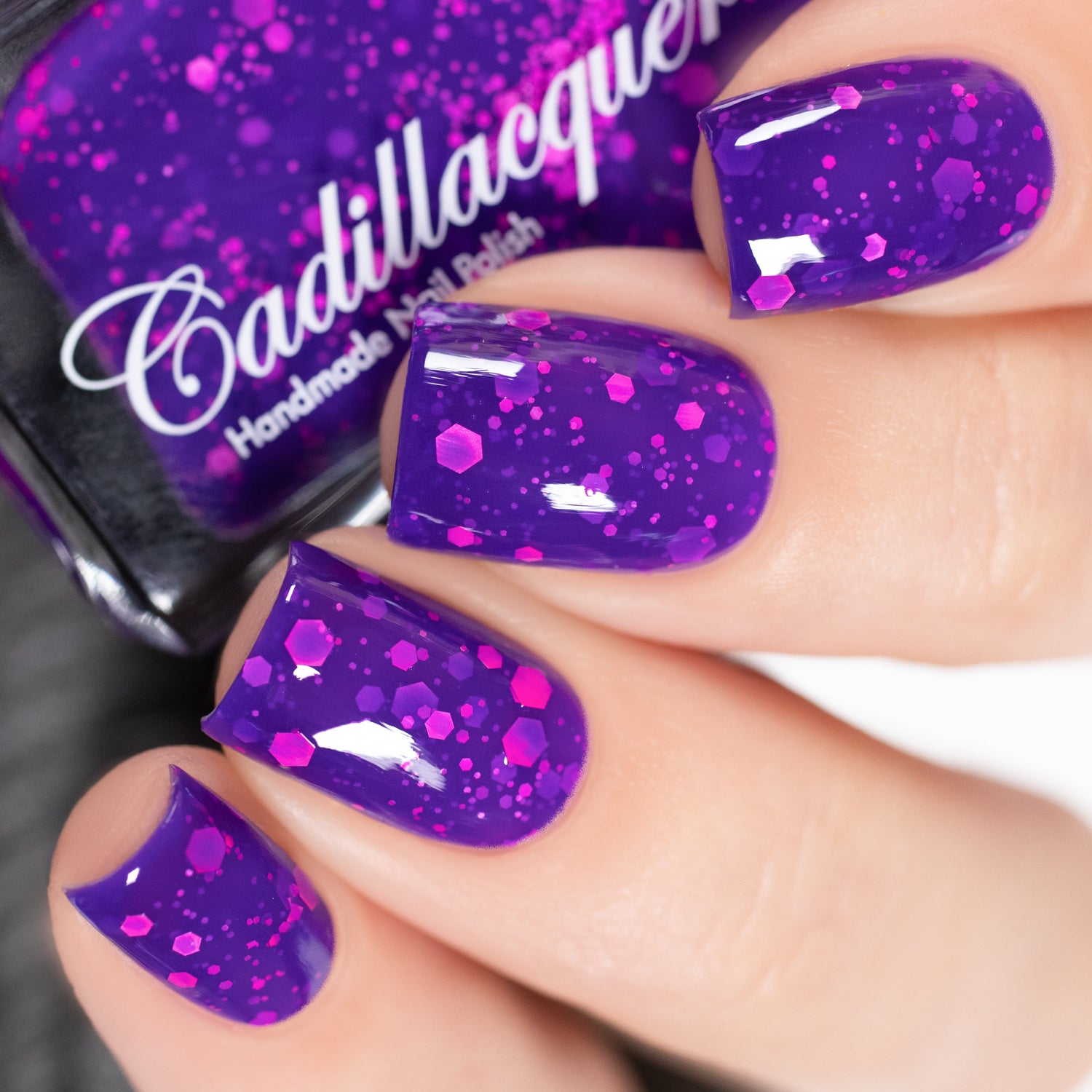 Fall & Halloween - Bugaboo