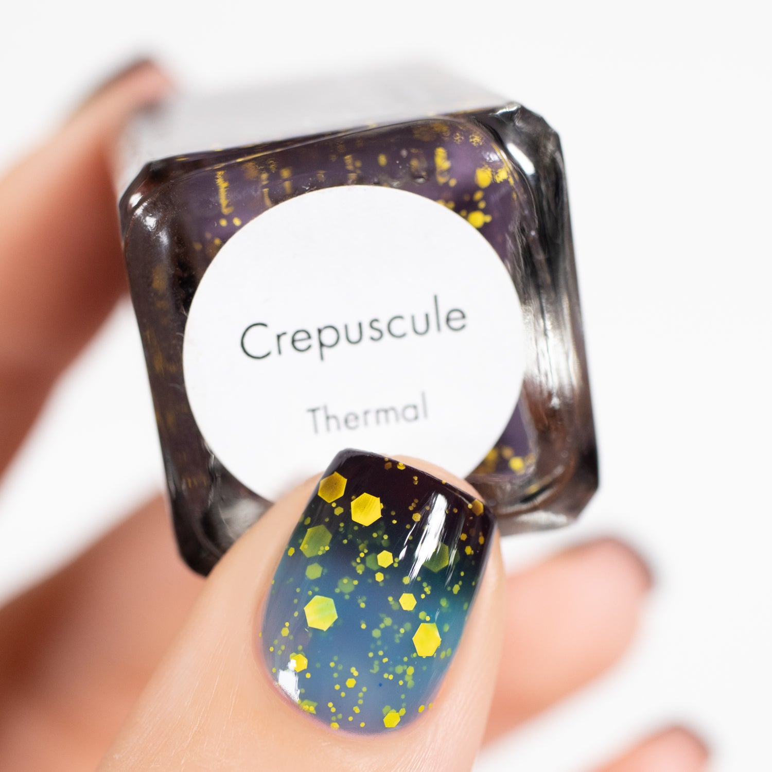 Fall & Halloween - Crepuscule