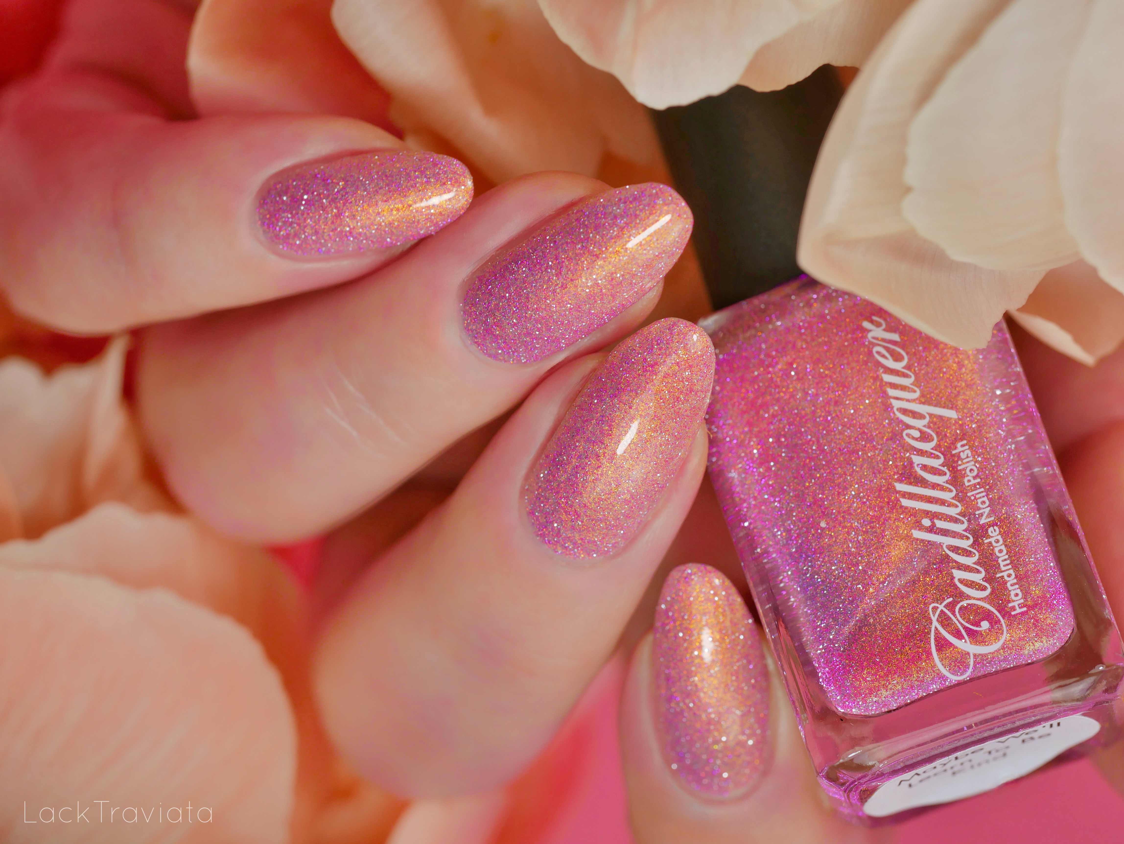 Maybe We'll Learn To Be Kind